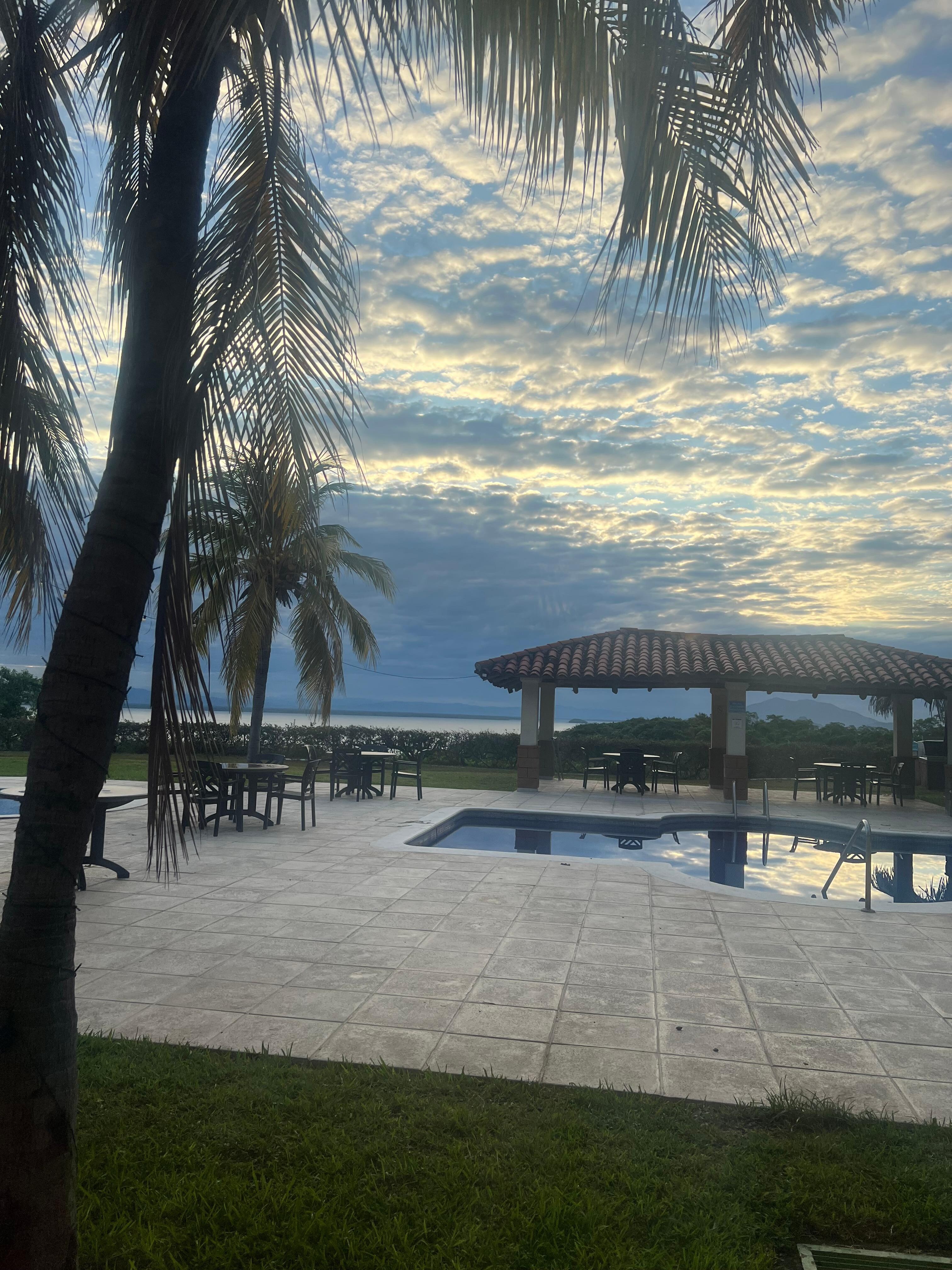 The view from the room 