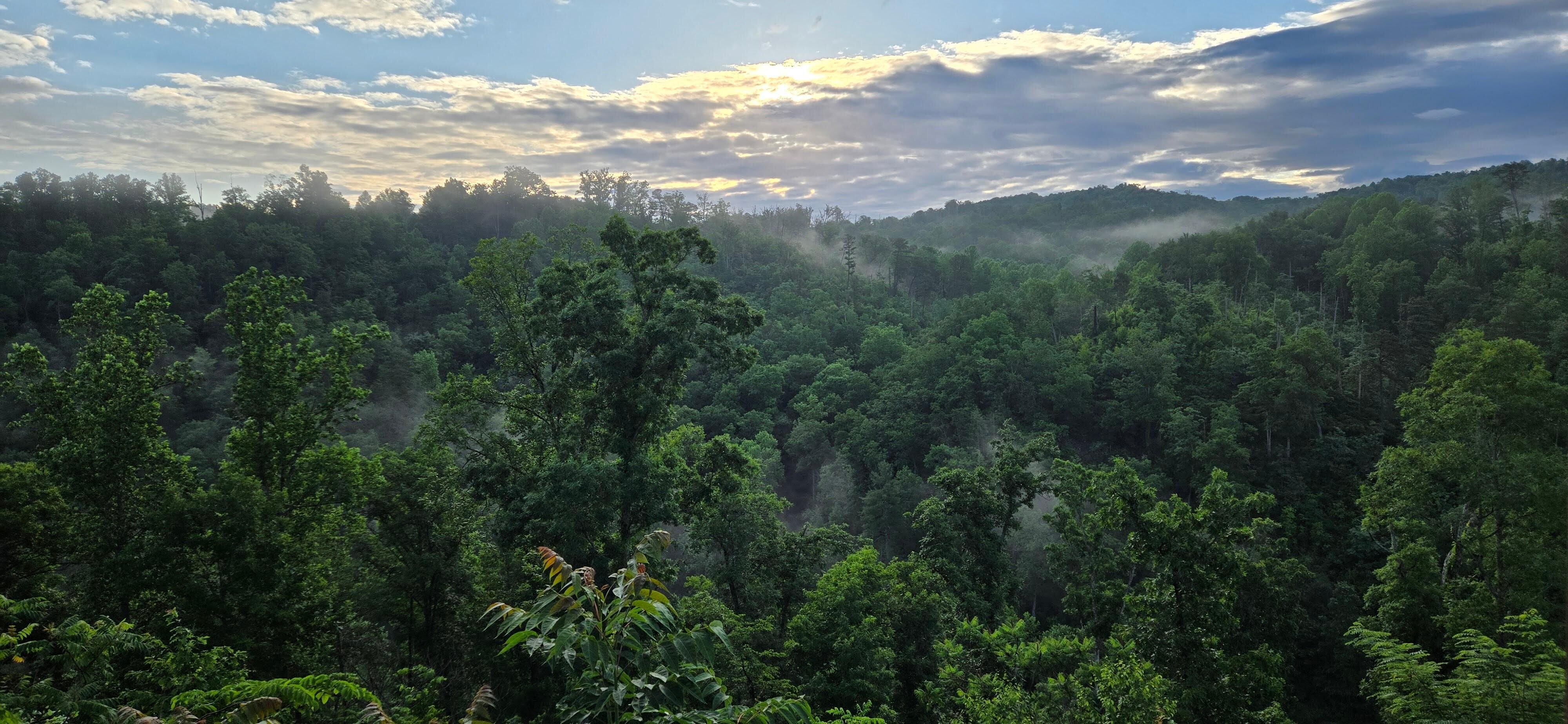 View from the deck, no filters.