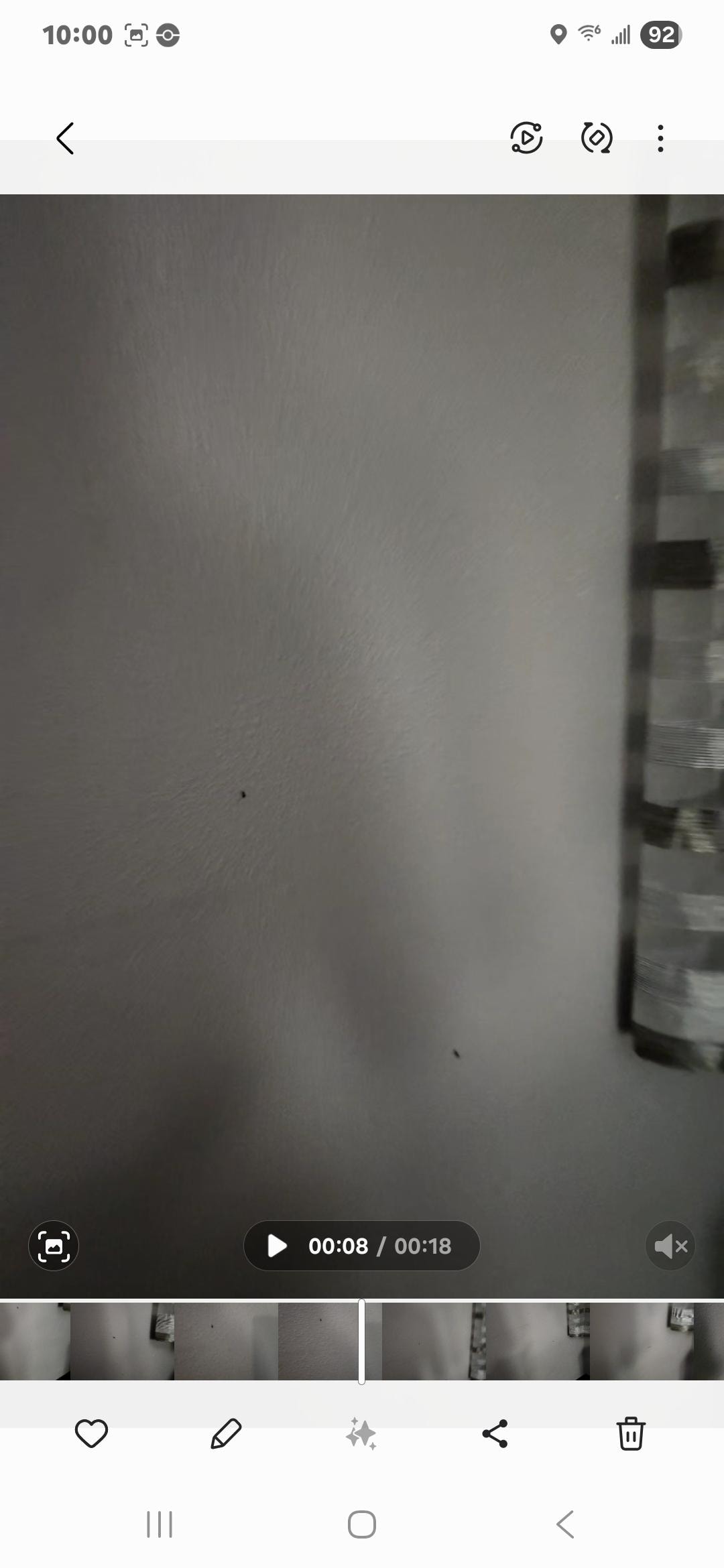 Freaking house roaches all over!!!! Want my money back!!