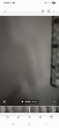 Freaking house roaches all over!!!! Want my money back!!