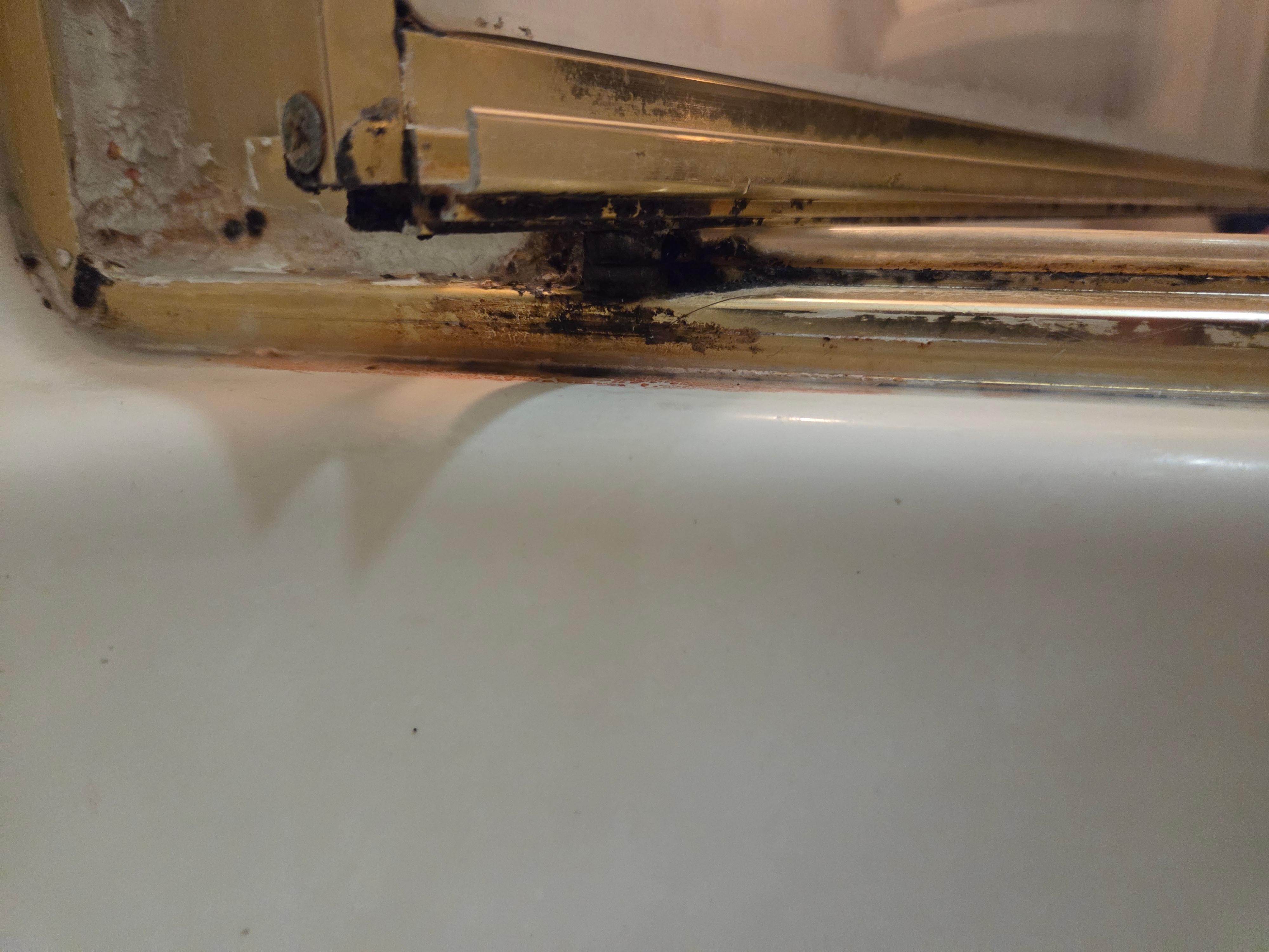 Mold in shower was never properly cleaned
