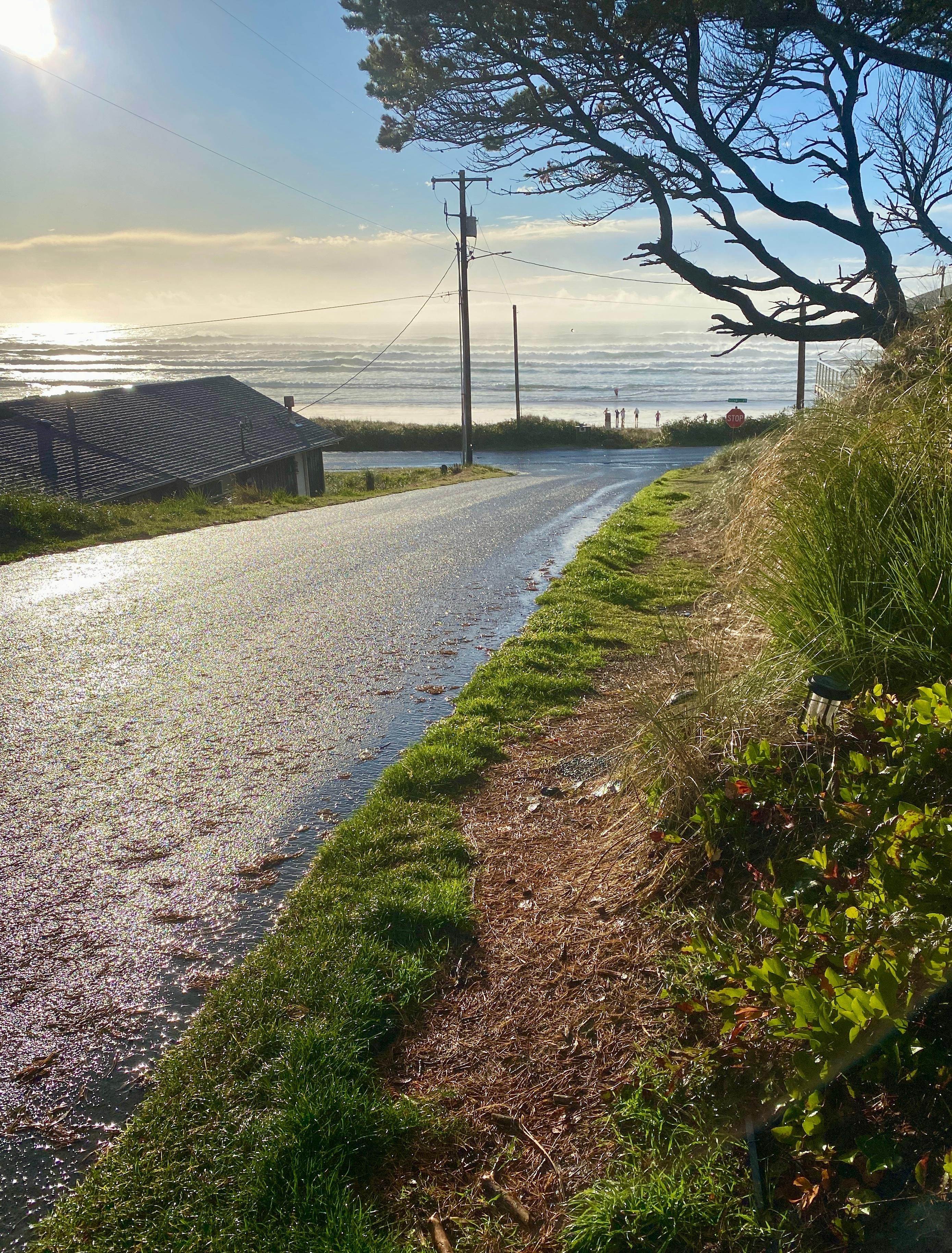 On the way to the beach 