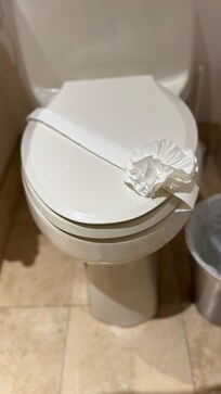 Toilet wrapped when we arrived.