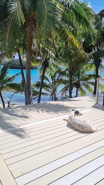 The deck where we have our meals with Daisy, very friendly dog