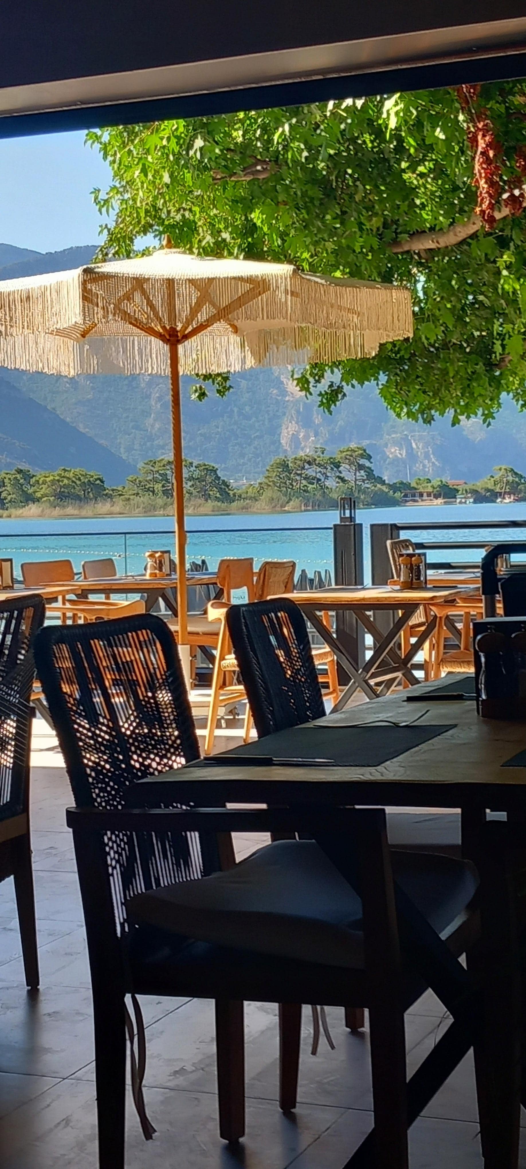 Our view at mealtimes