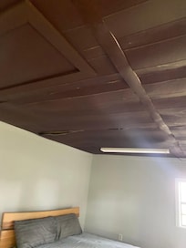 Guest bedroom ceiling is falling down!