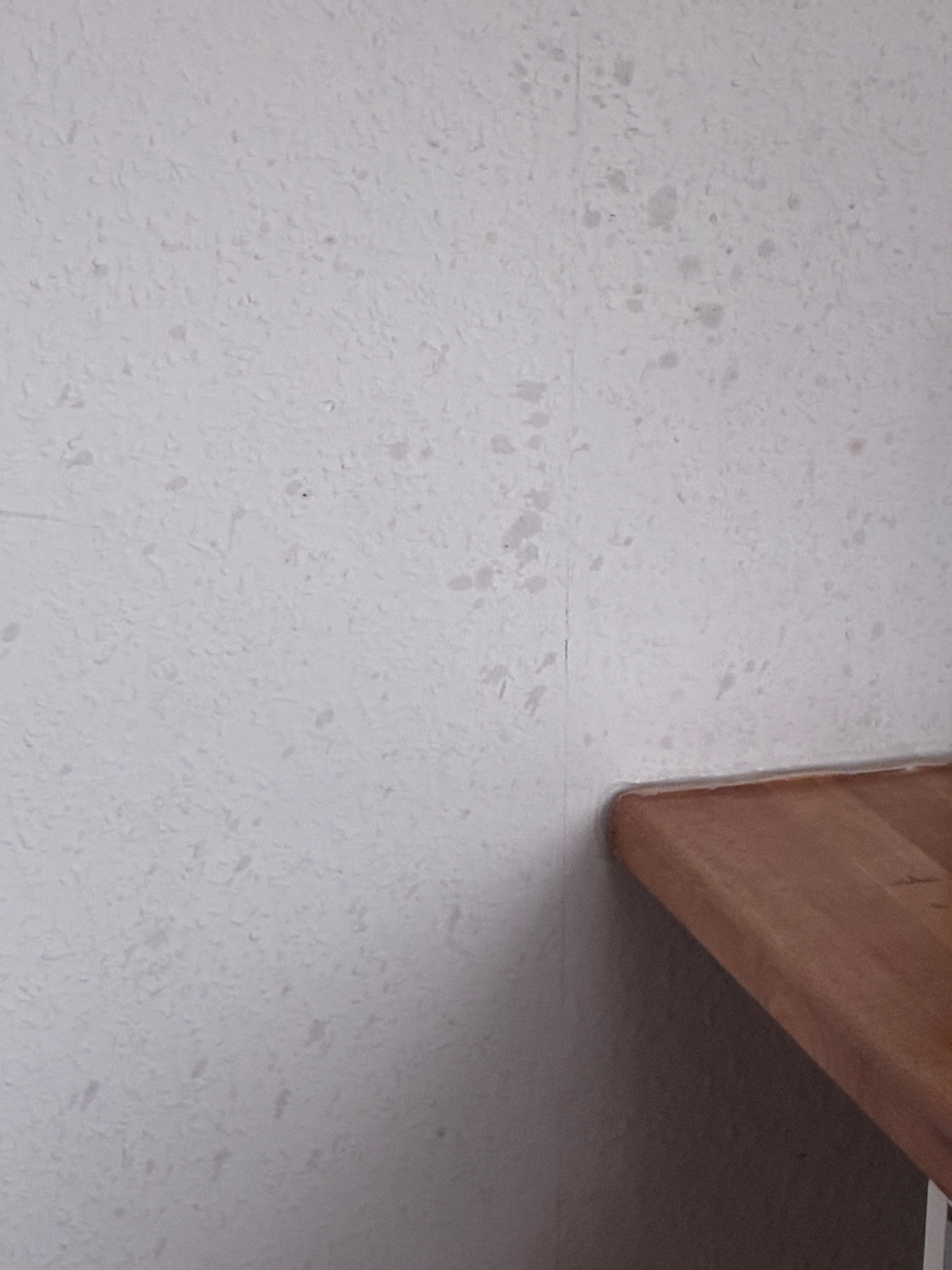 Extrem viele Fettspritzer an der wand am Herd 