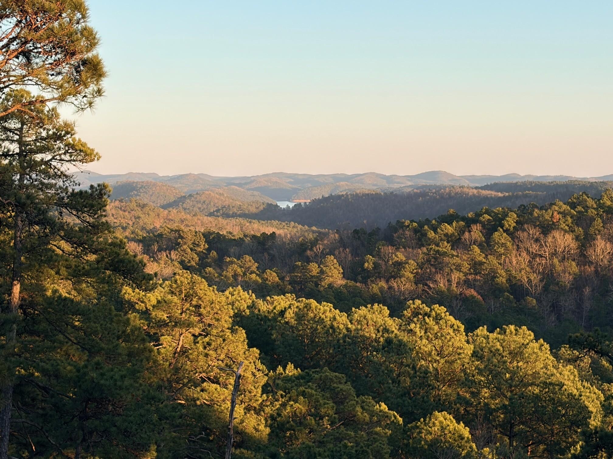 The view from one of the 3 wrap around balconies!