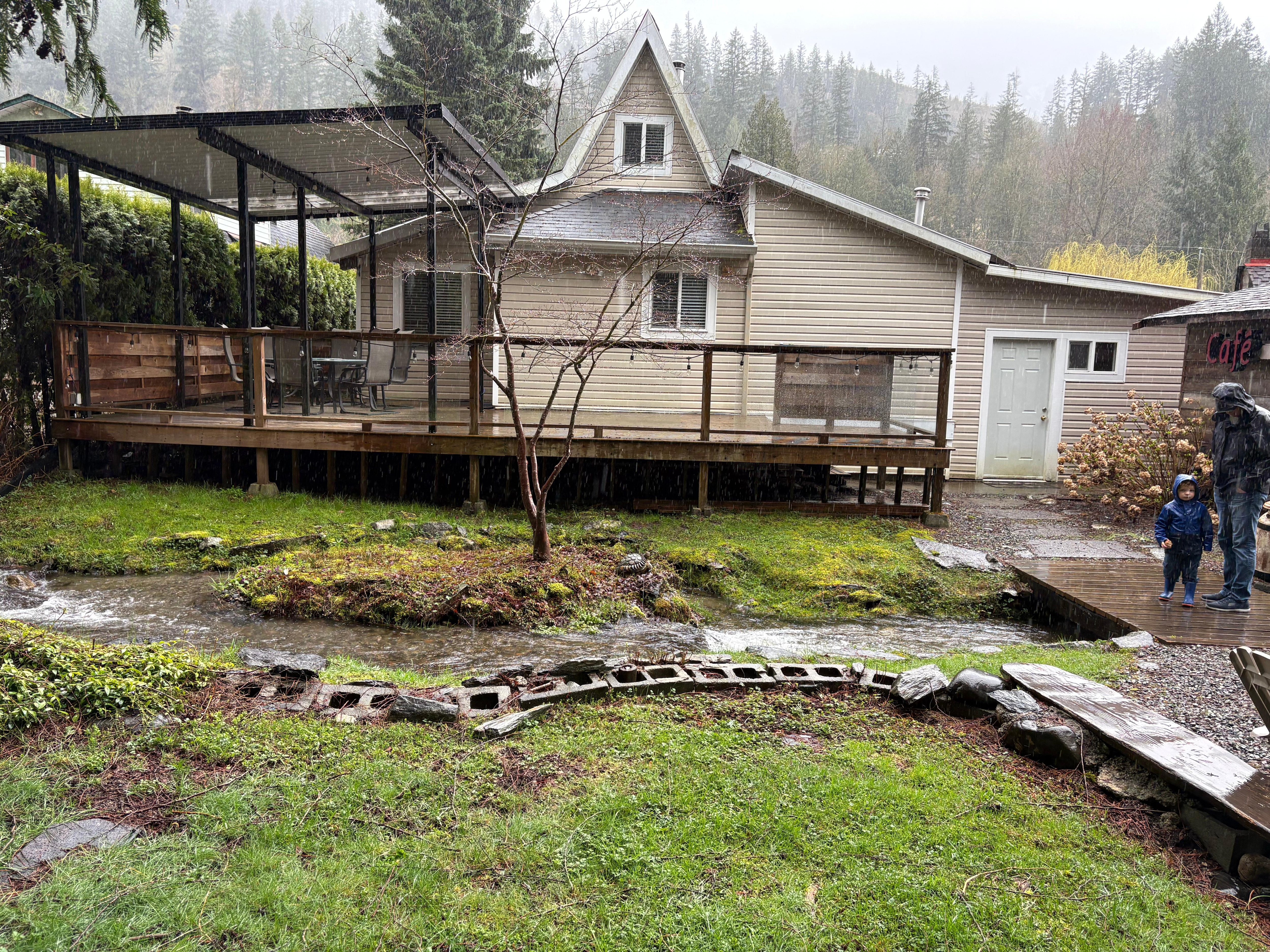 Back yard view during Spring break 