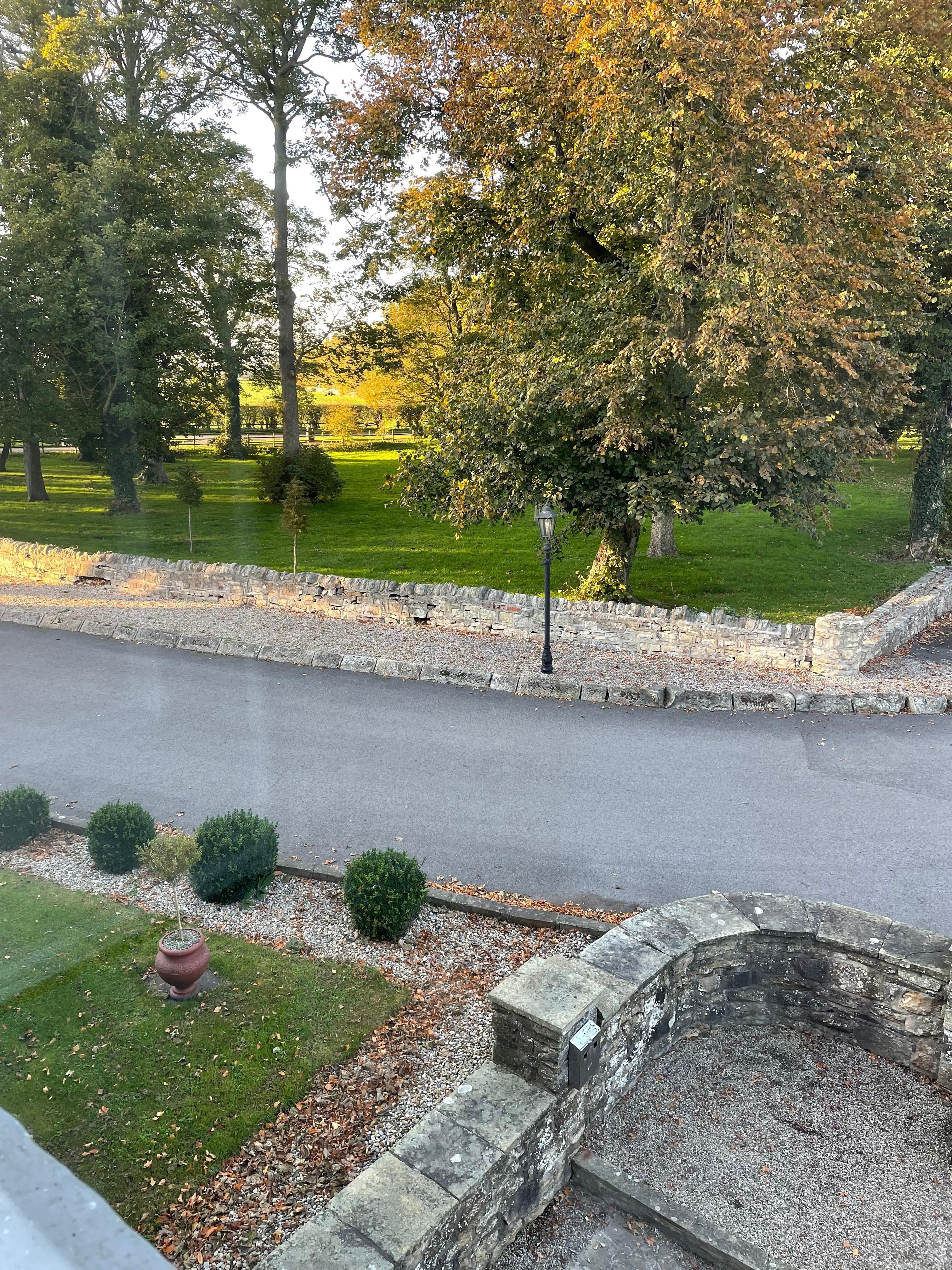 View of grounds from bedroom window