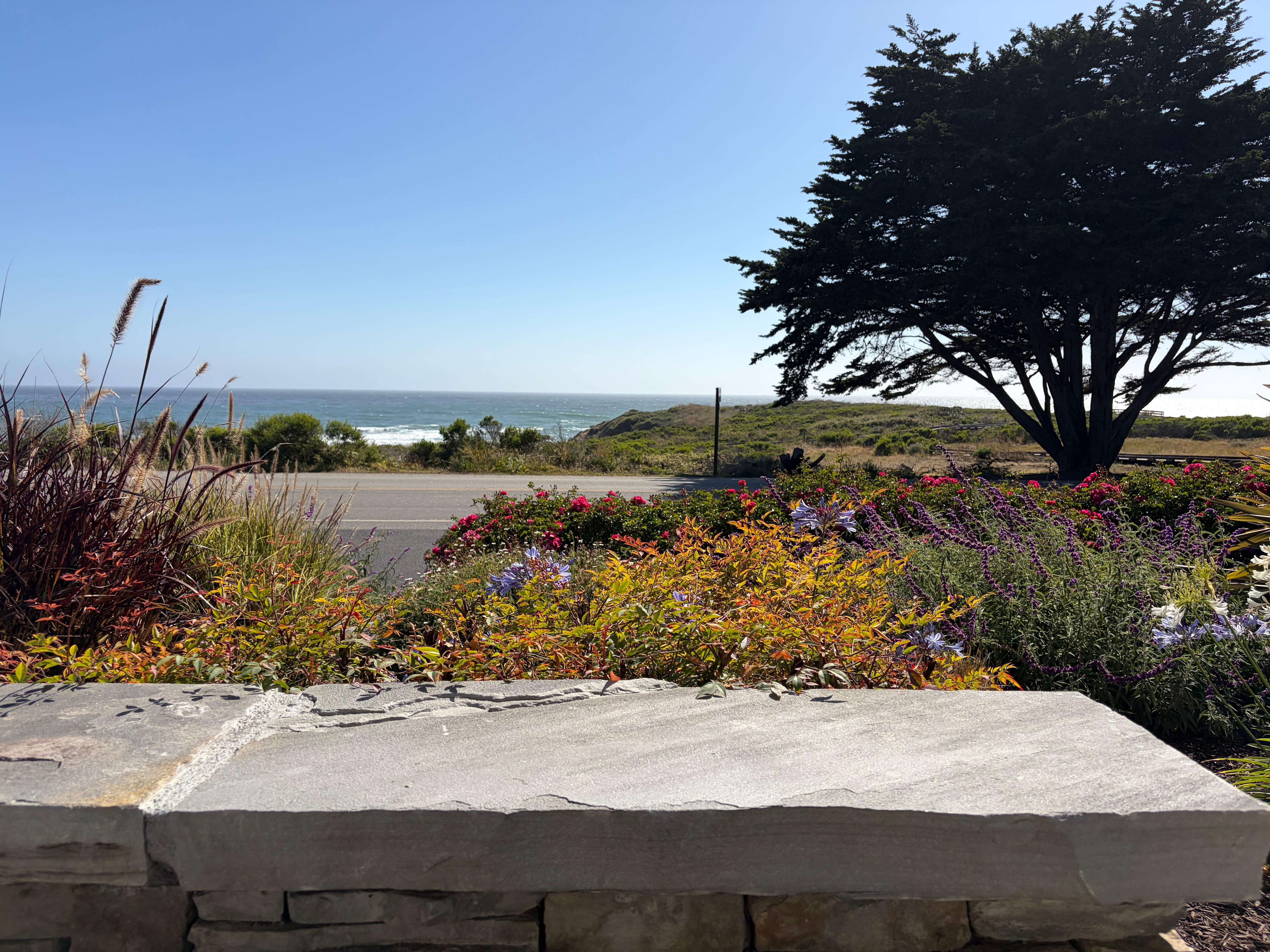Lovely view. Loved hearing the waves! 