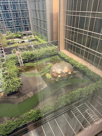 Outside room view