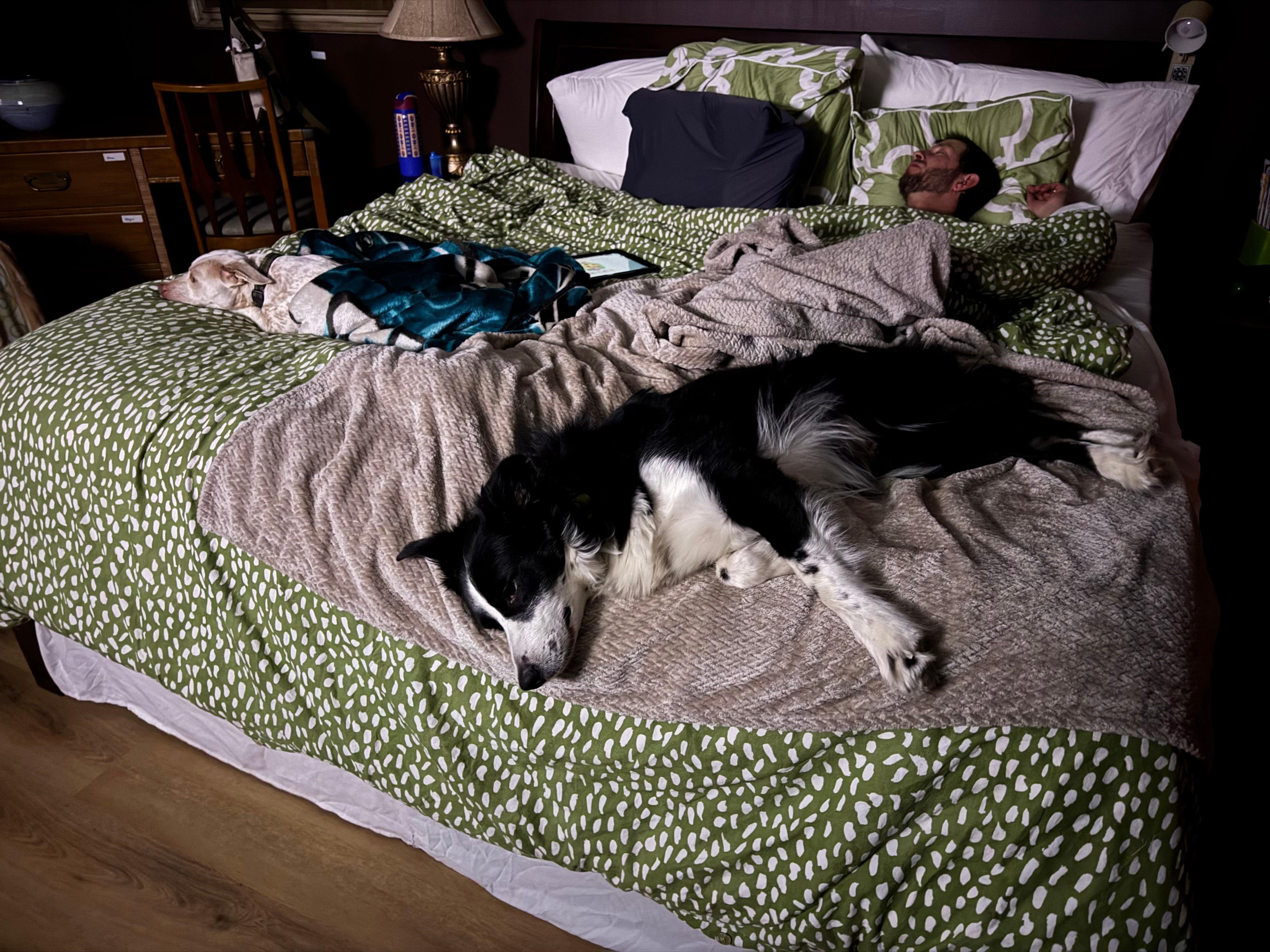 Amazing king size bed!