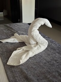 The detail of housekeeping (Claudette?) was impressive. 🫶