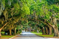 Island frames streets