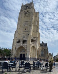 The Basilica