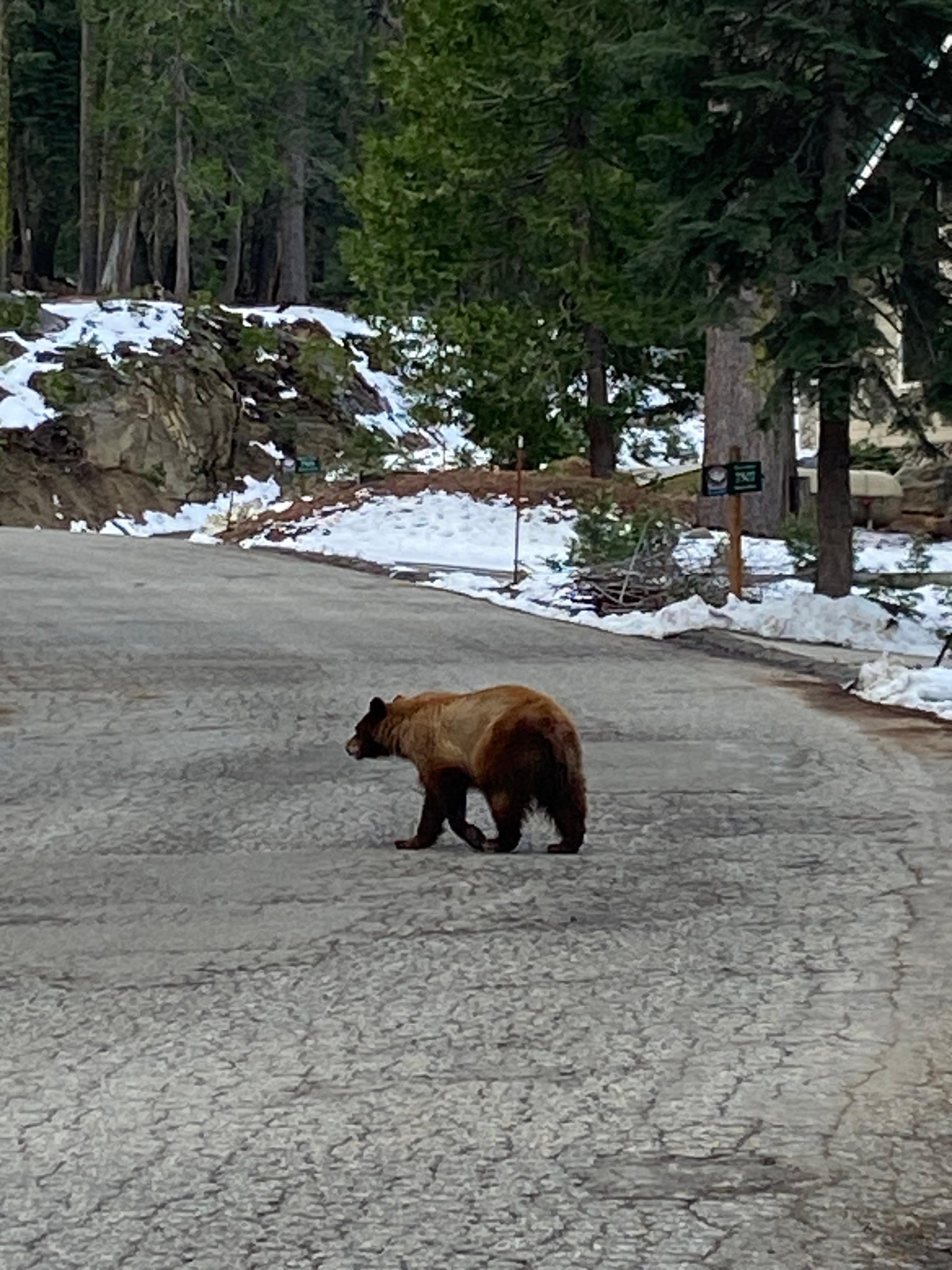 On the street outside the lodge 