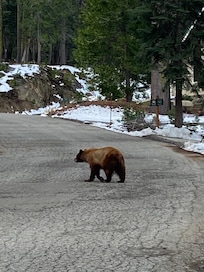 On the street outside the lodge