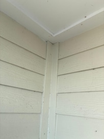 Spider webs everywhere