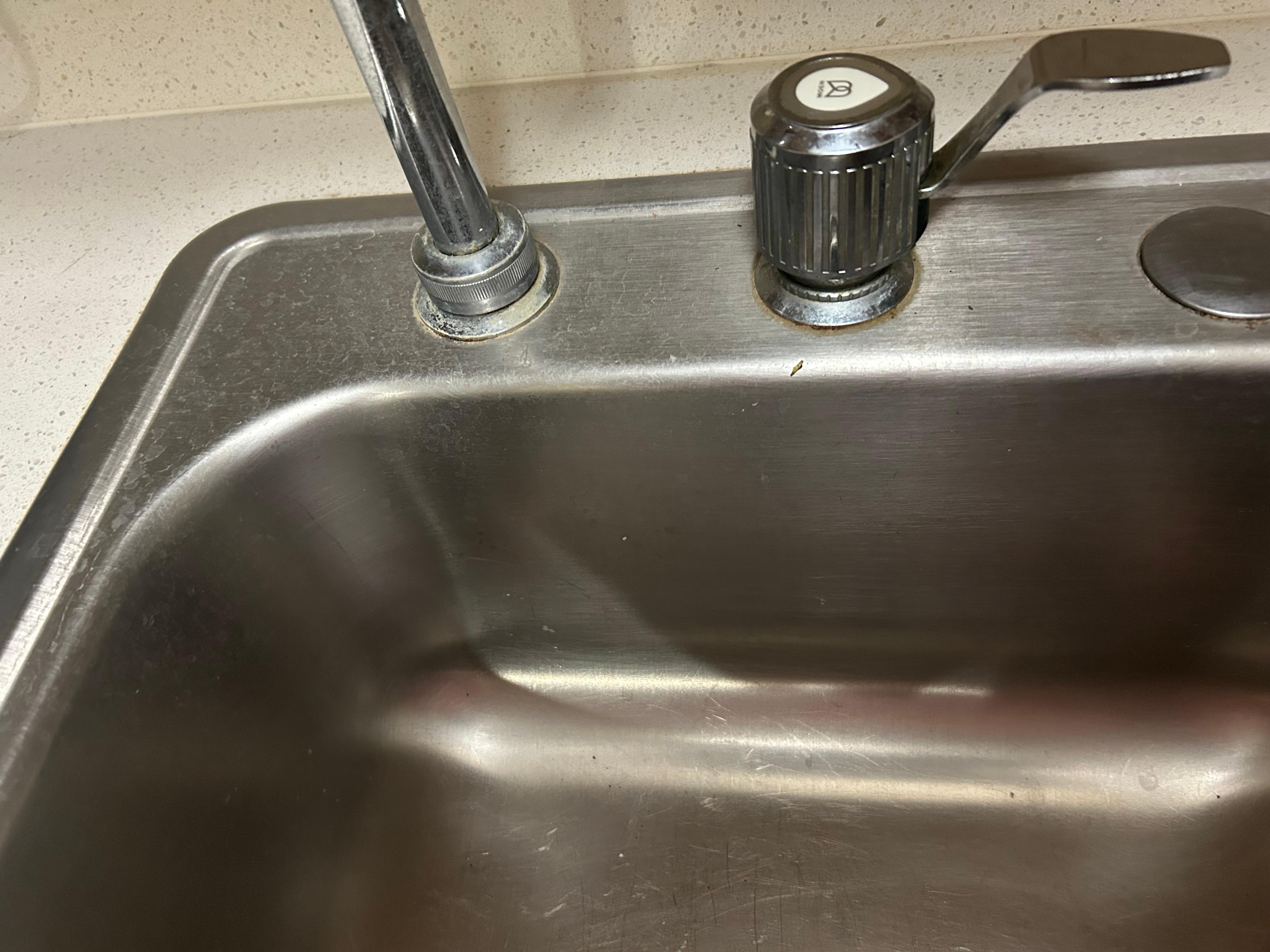 Uncleaned kitchen sink 