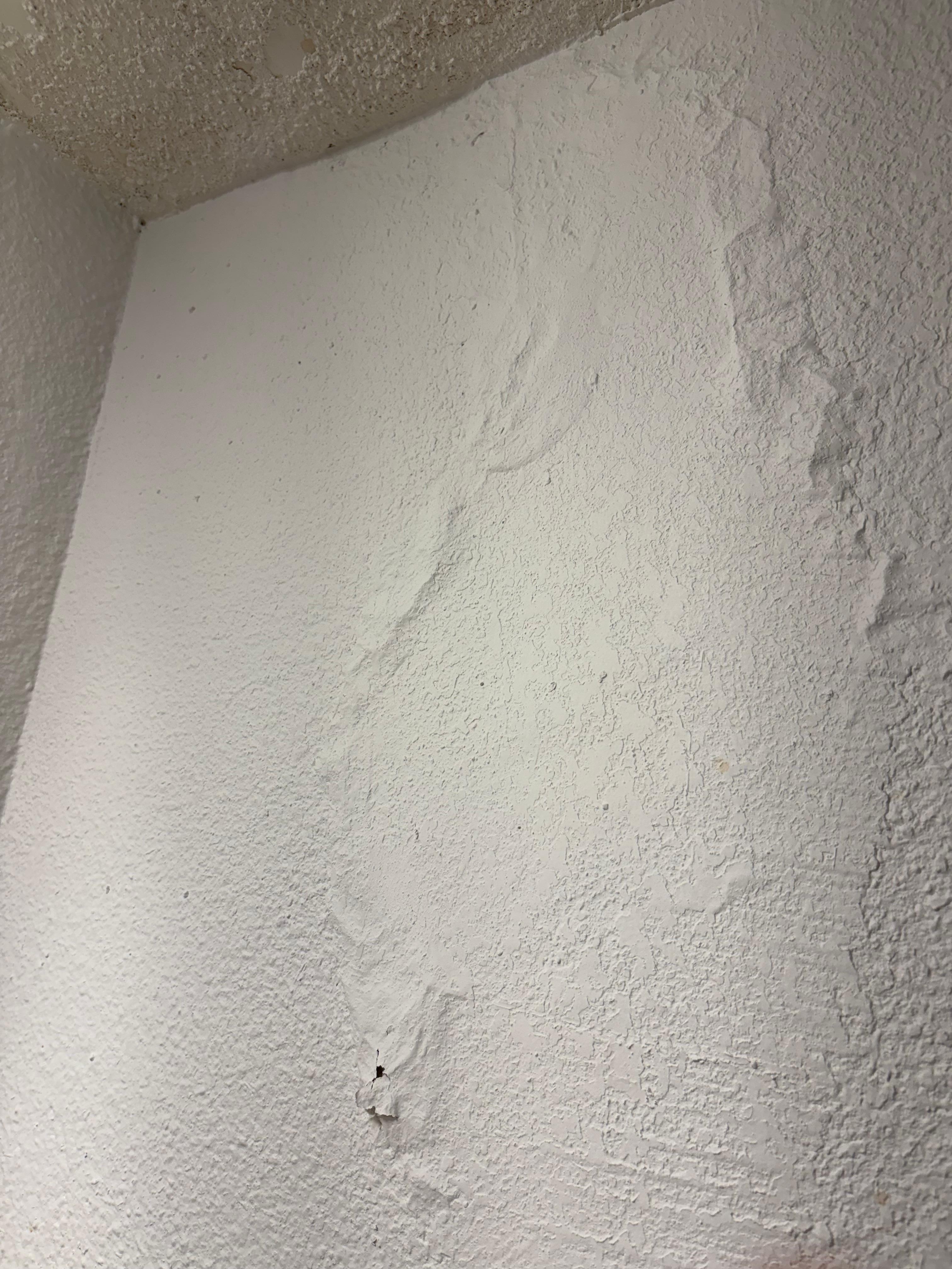 Paint peeling off the walls 