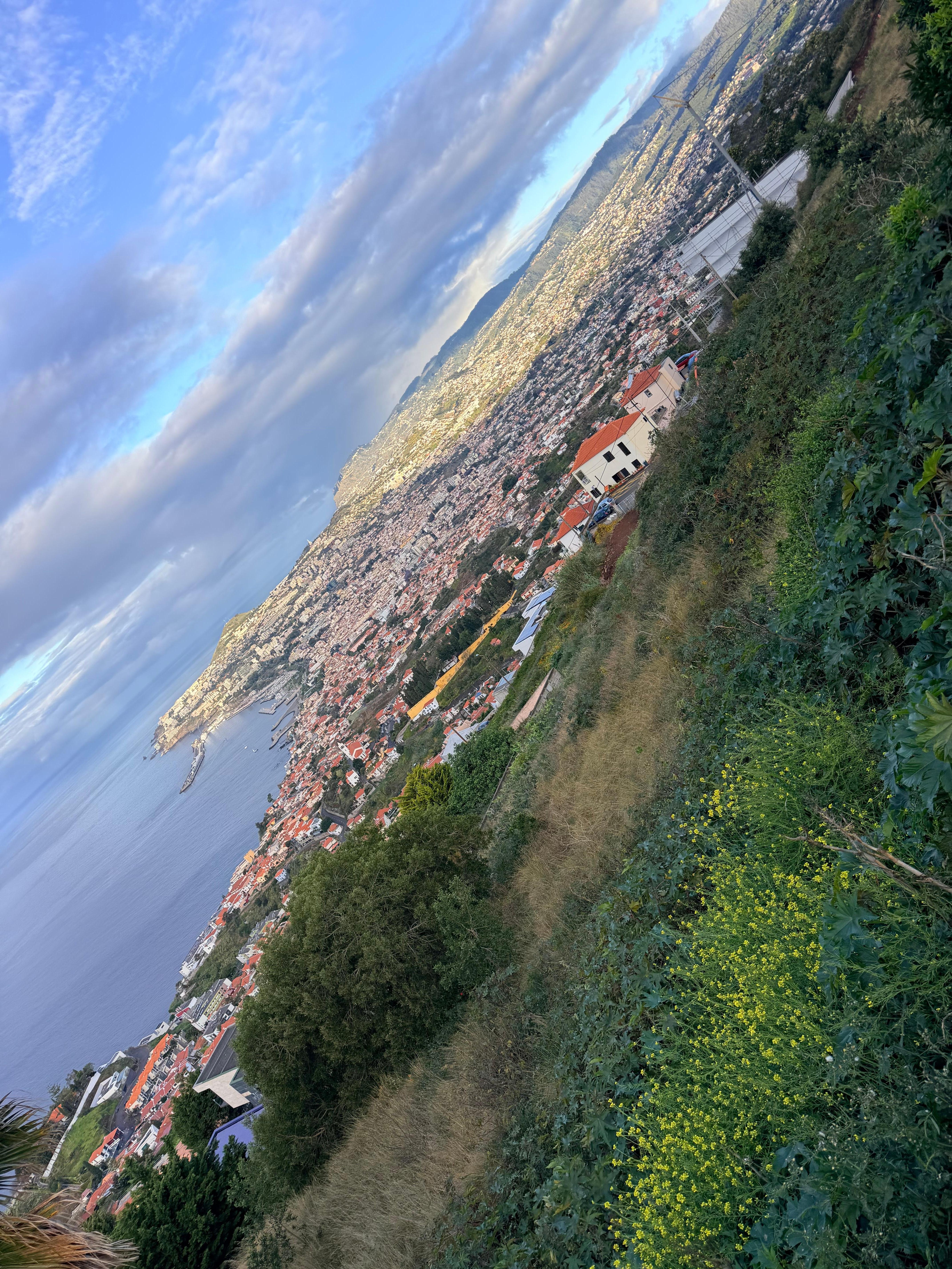 View of Funchal from a 2 minute walk from the room