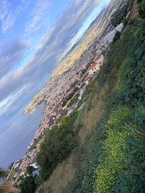 View of Funchal from a 2 minute walk from the room