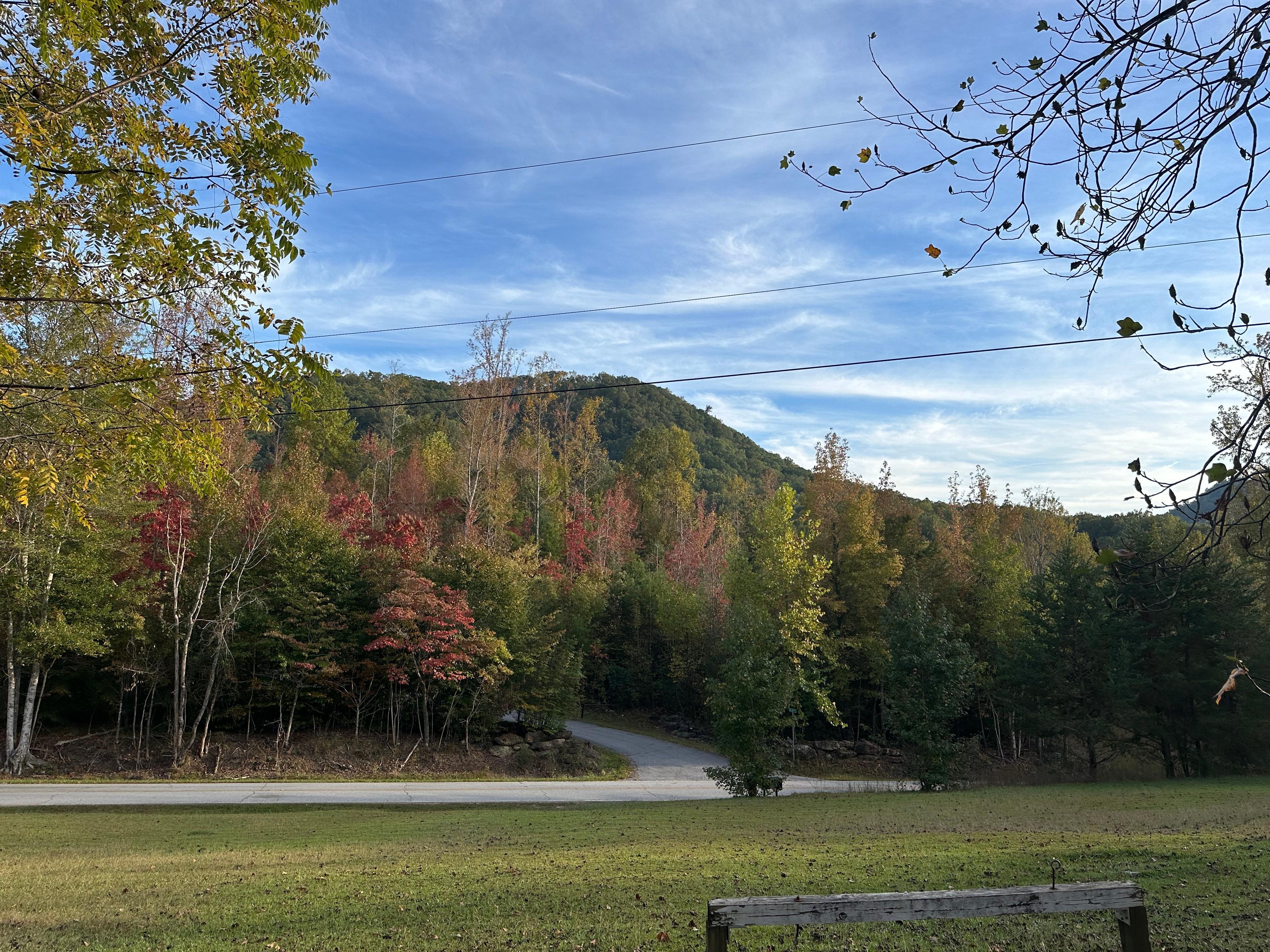 View from the front porch. 