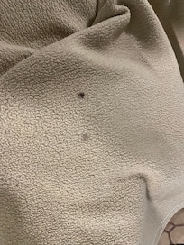 Cigarette burn holes in the blanket