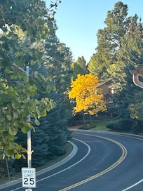 I took these photos from the deck - a beautiful place to sit with a cup of coffee.