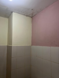 Mole and dump spot everywhere