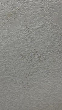 Dirty walls, this was the cleanest