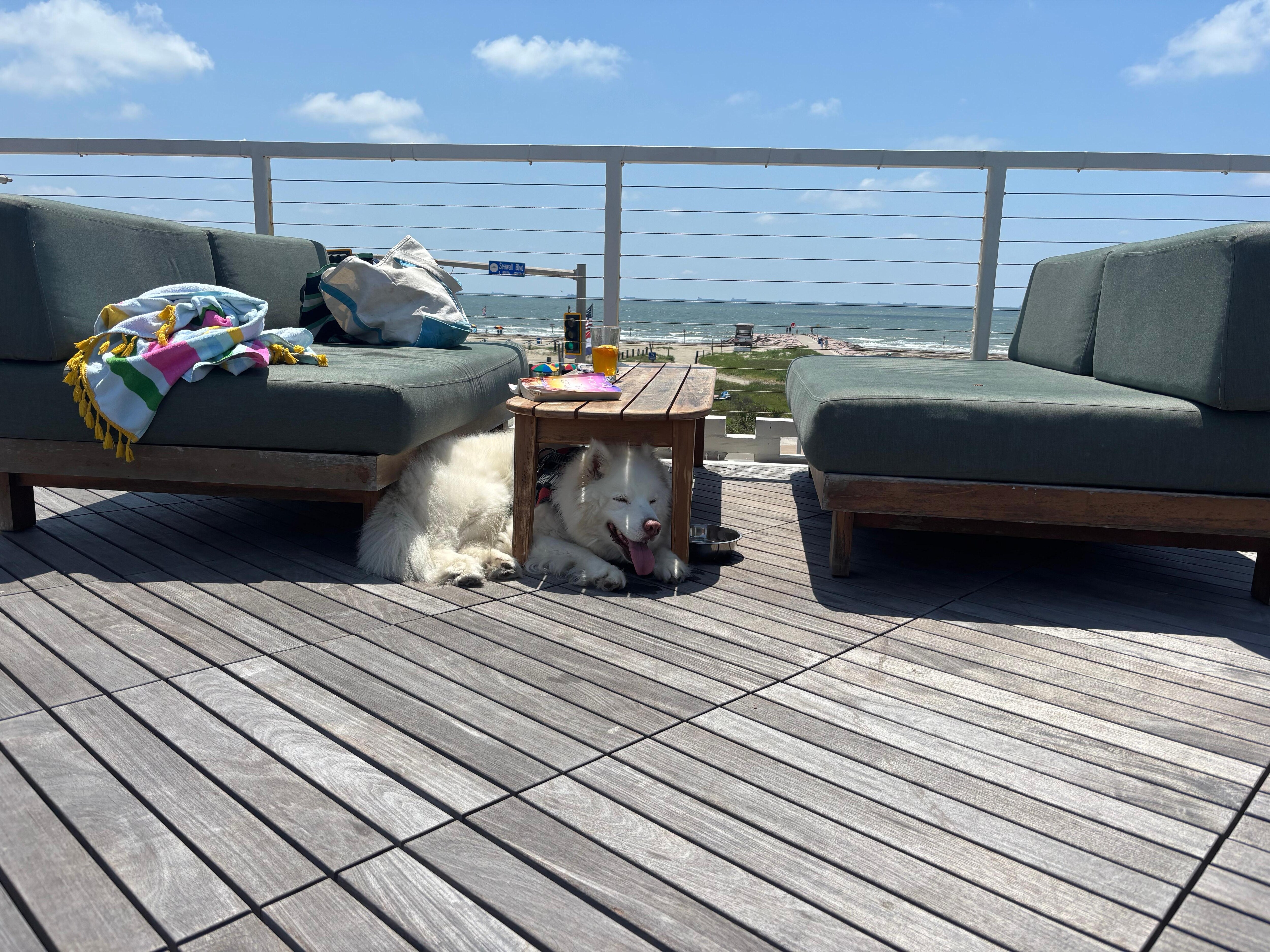 Hôtel Lucine Rooftop Patio w/ ocean view 