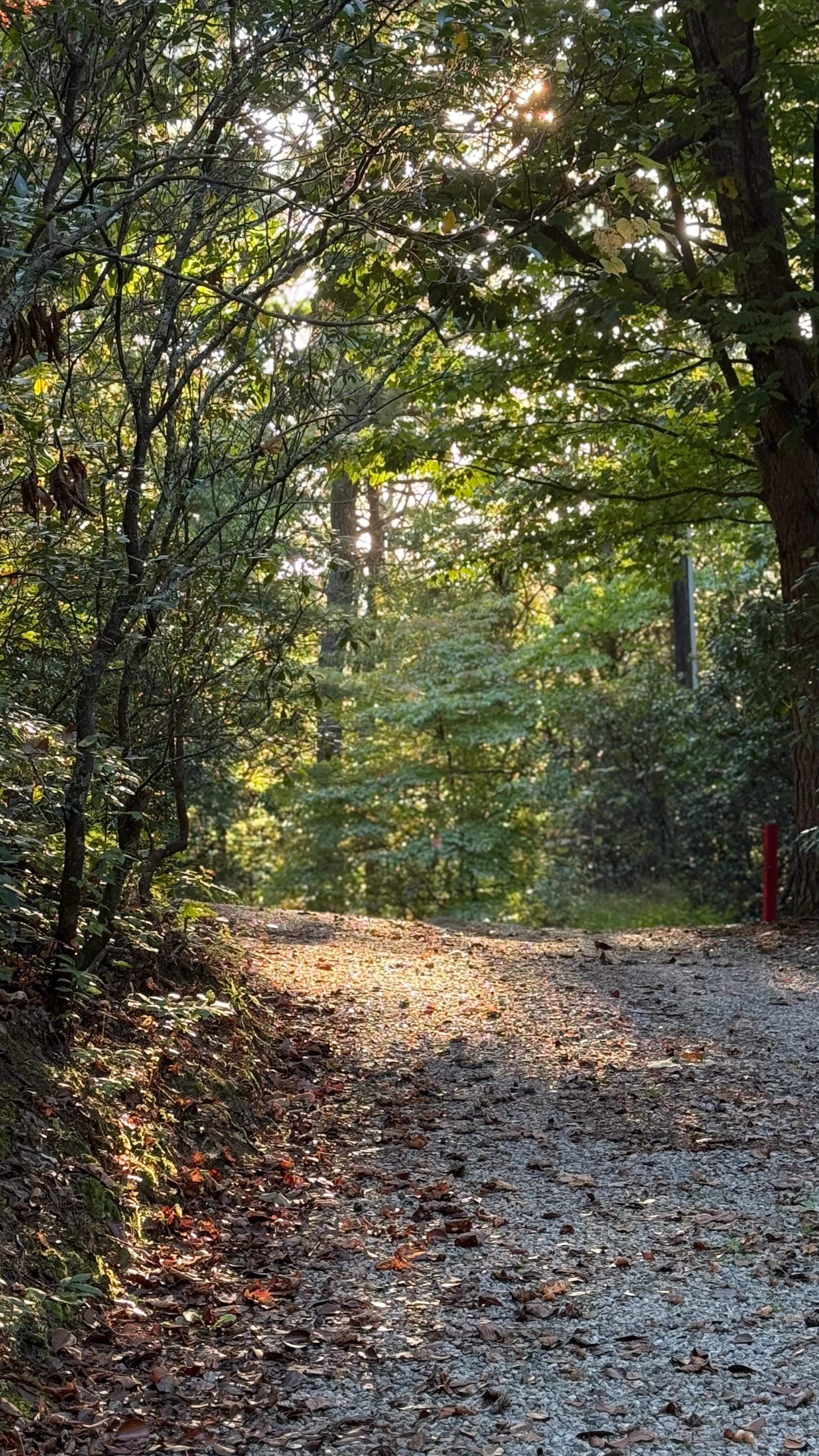 So remote, yet so close to town… we kept marveling about how quiet it was and how close to everything it was!