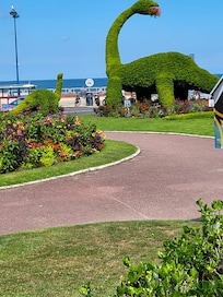 Gardens in the town.