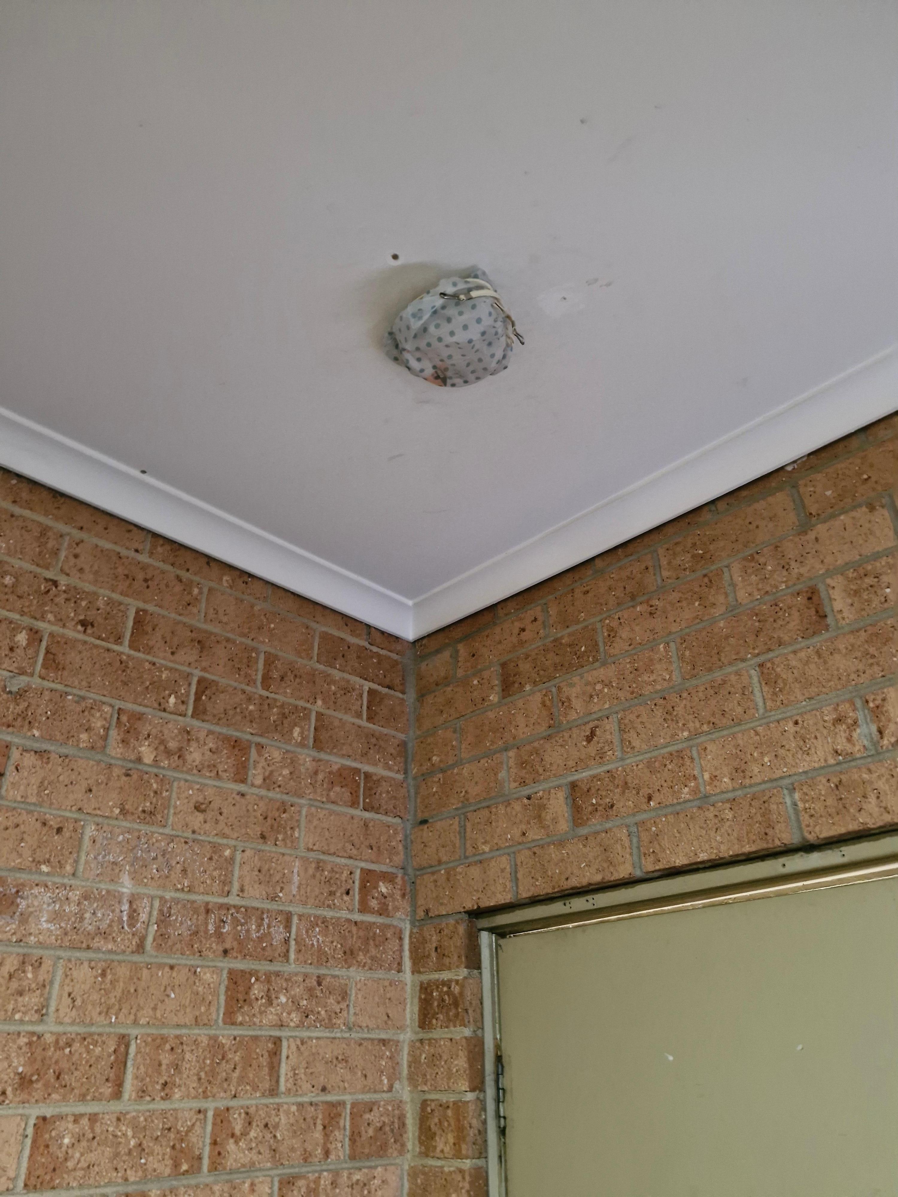 Shower cap over smoke alarm