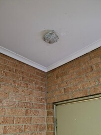 Shower cap over smoke alarm