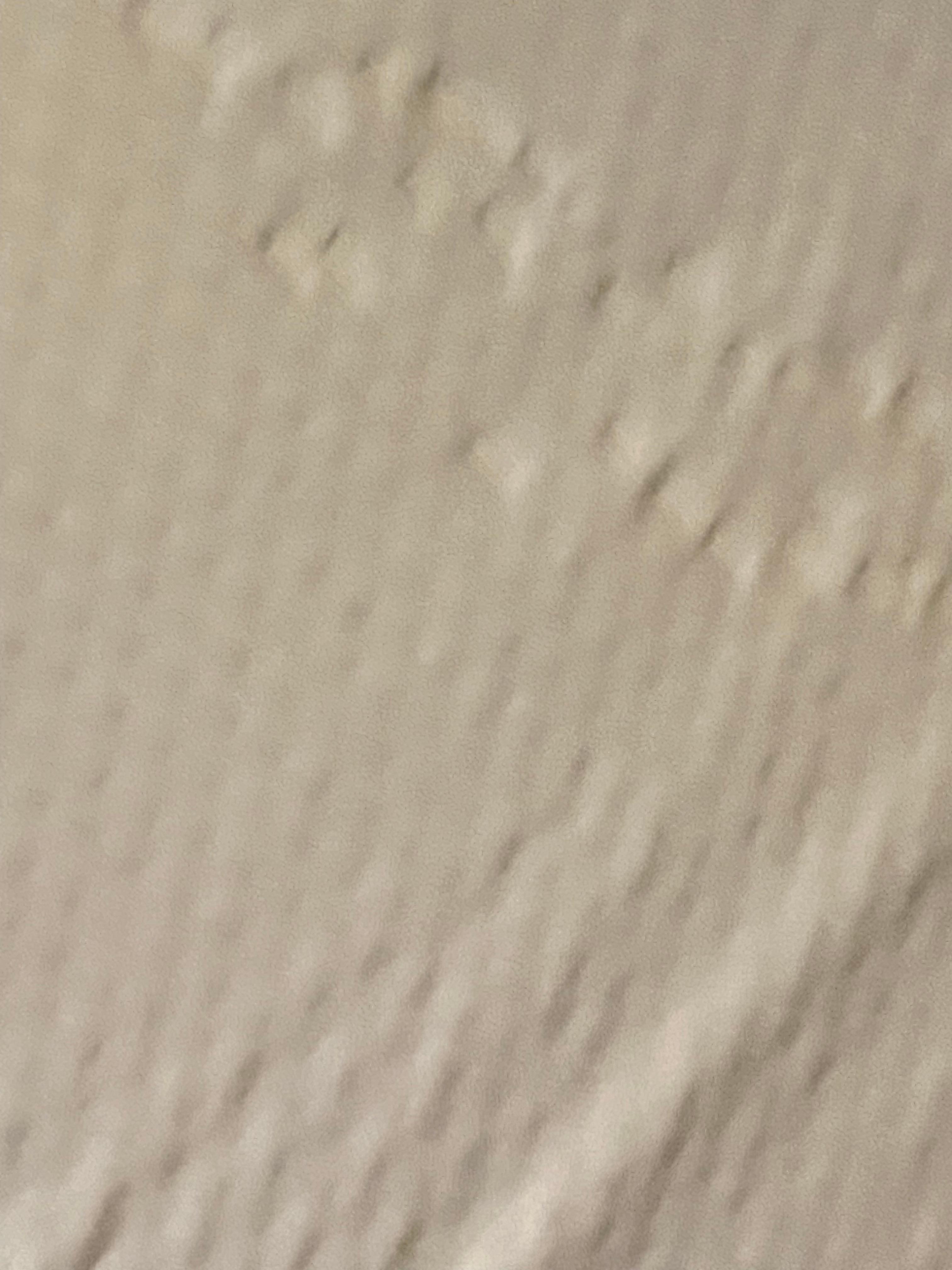 Stain couch sofa bed