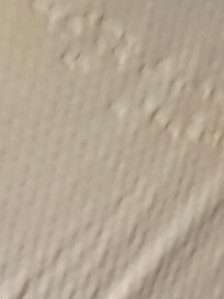 Stain couch sofa bed