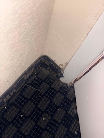 Nasty loose carpet with exposed staples
