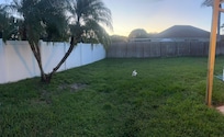 My dog loved the backyard