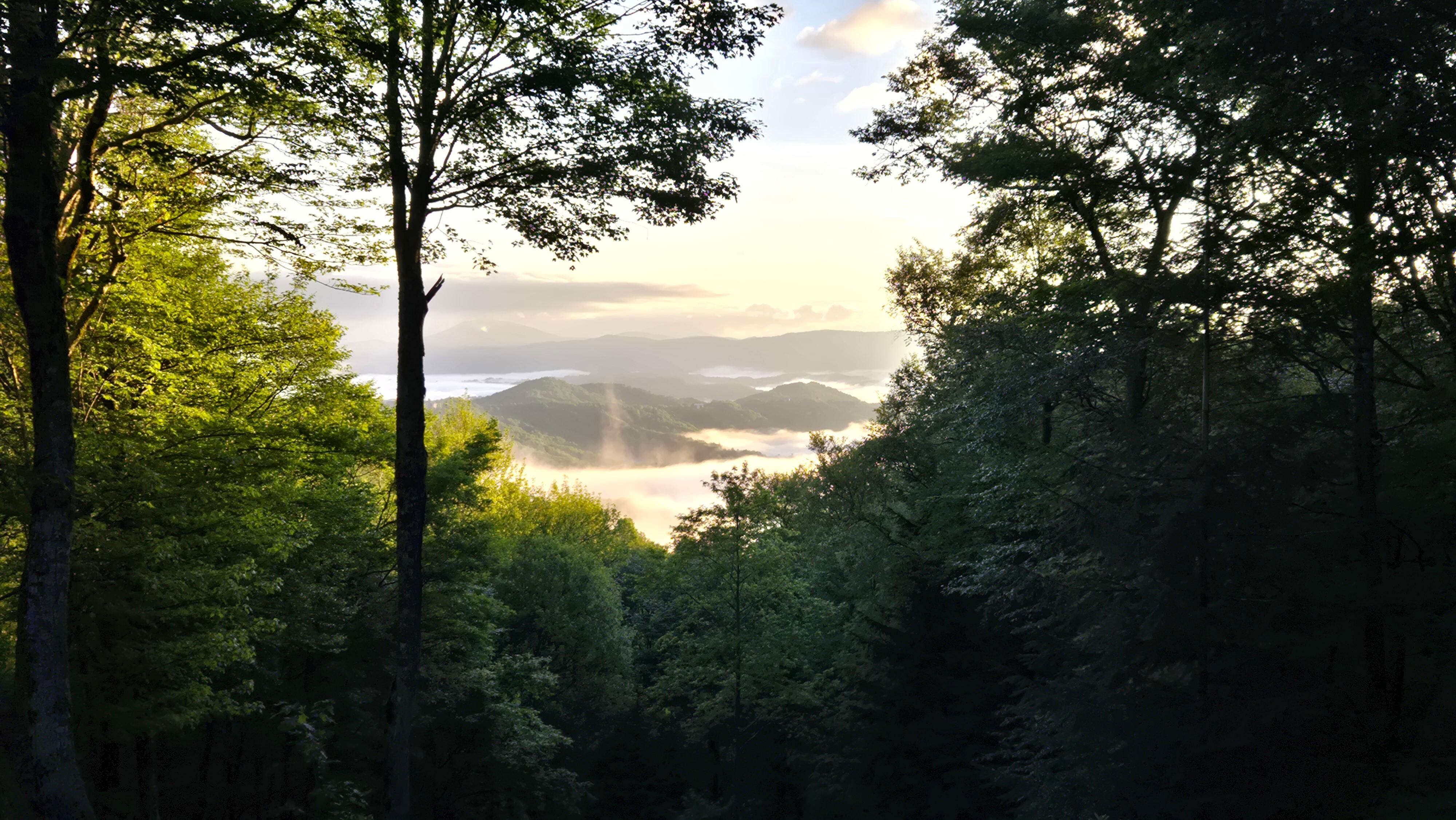 Sunrise