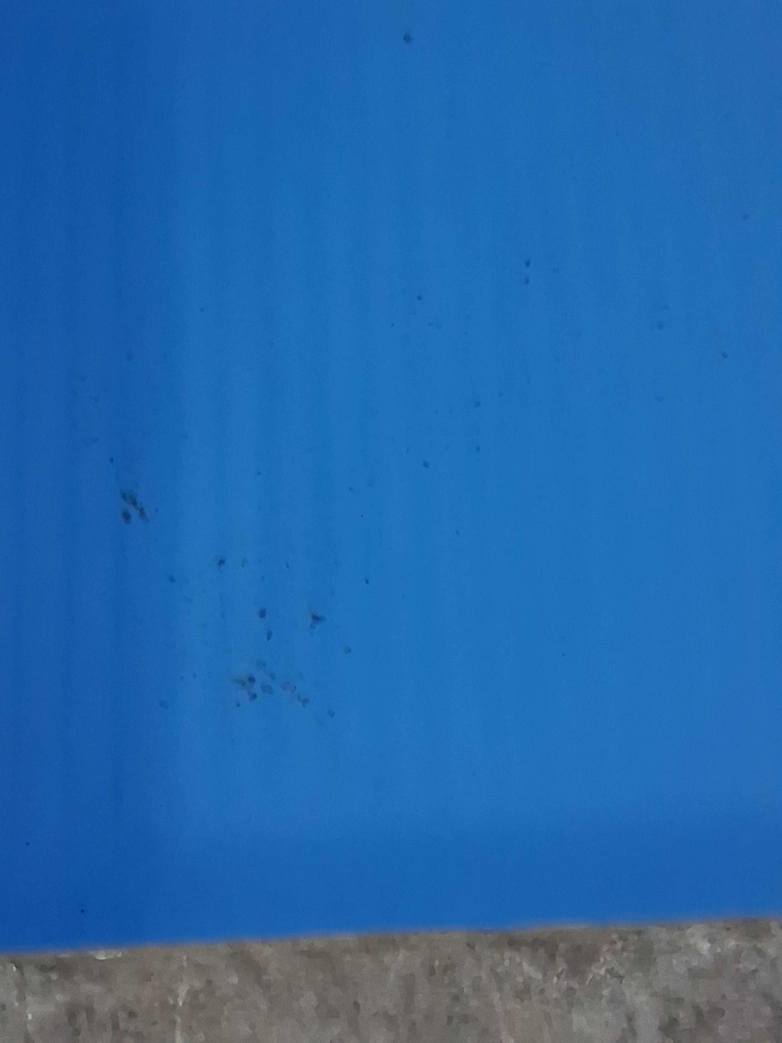 Pool was dirty but not as cold 