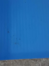 Pool was dirty but not as cold