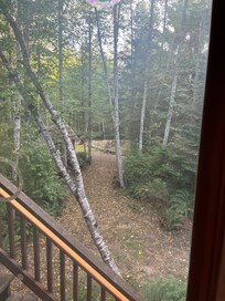 View off the back deck.