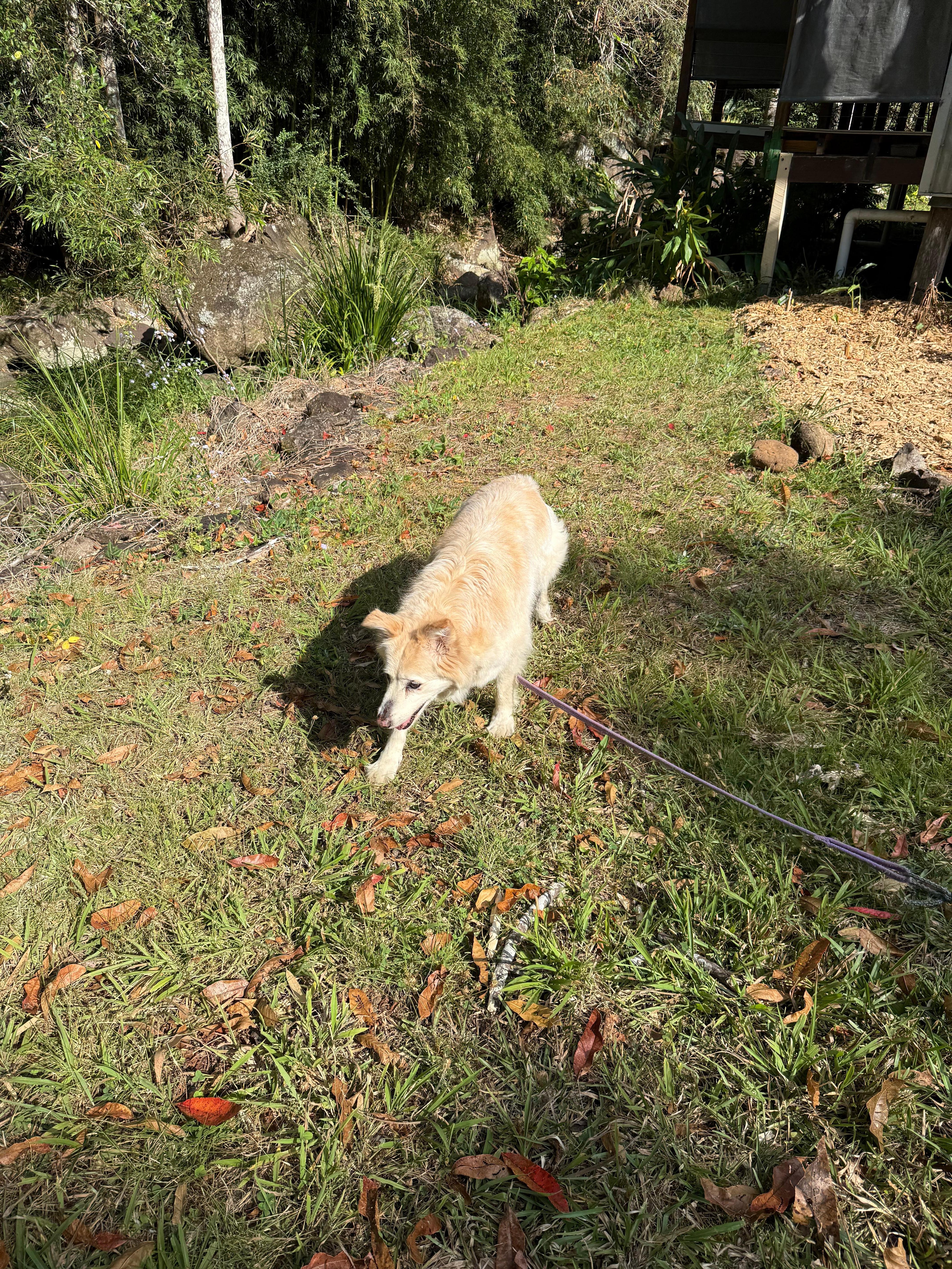 Bailey on a little expedition