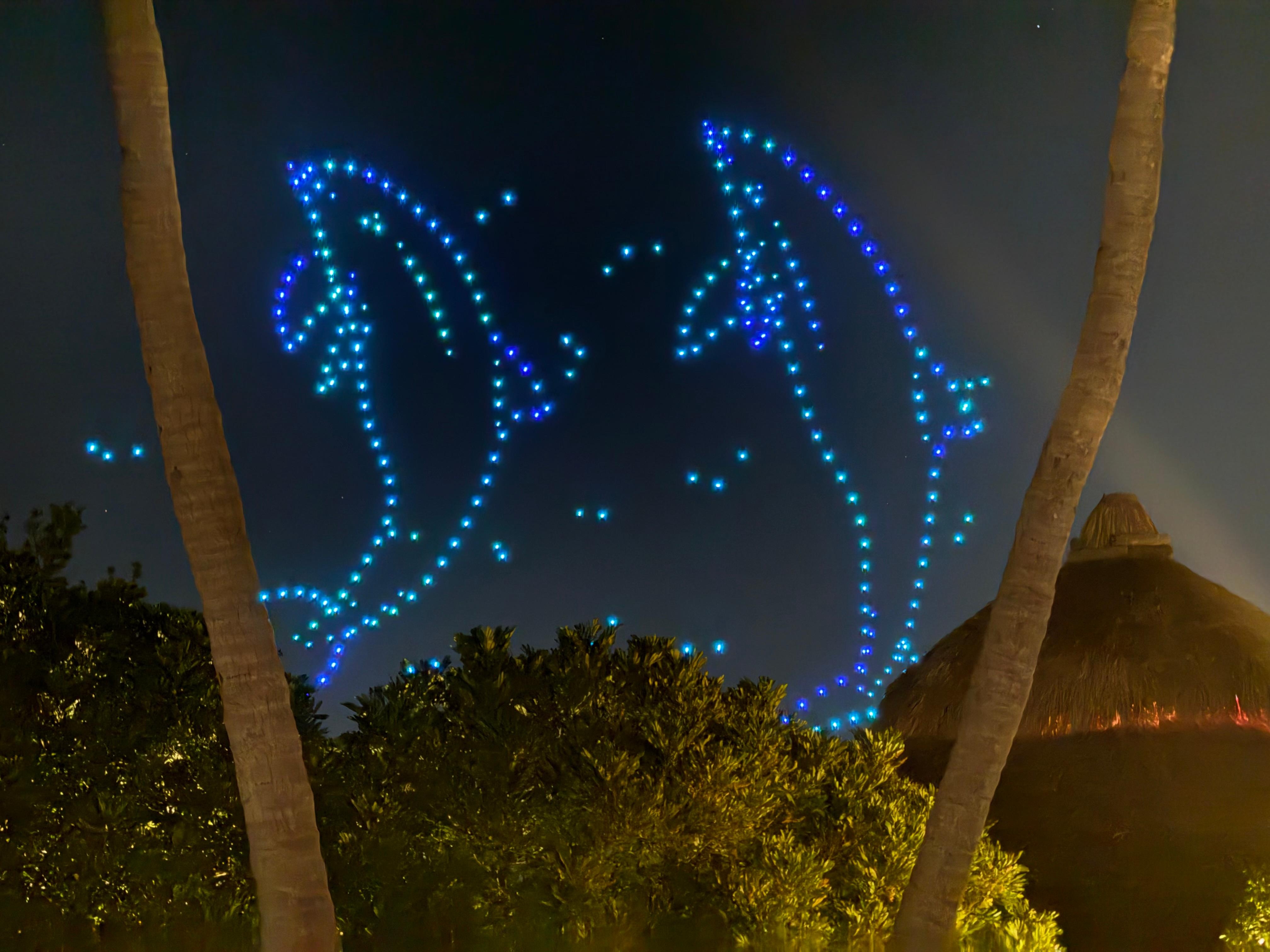 Drone show from local Dolphin Care Event