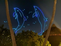 Drone show from local Dolphin Care Event