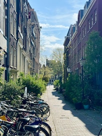 A charming alley in the neighborhood