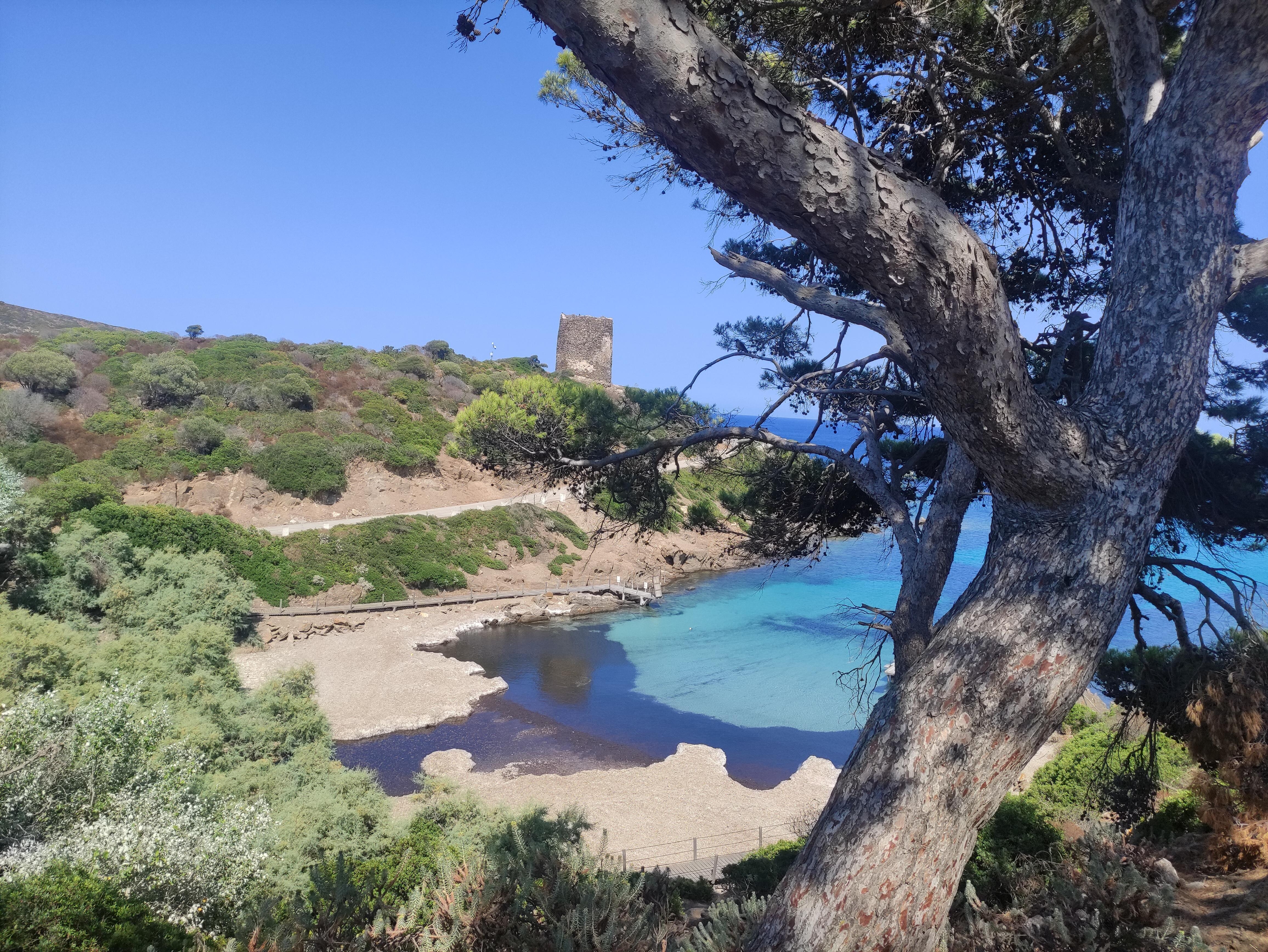 Parc national de l'Asinara en petit train